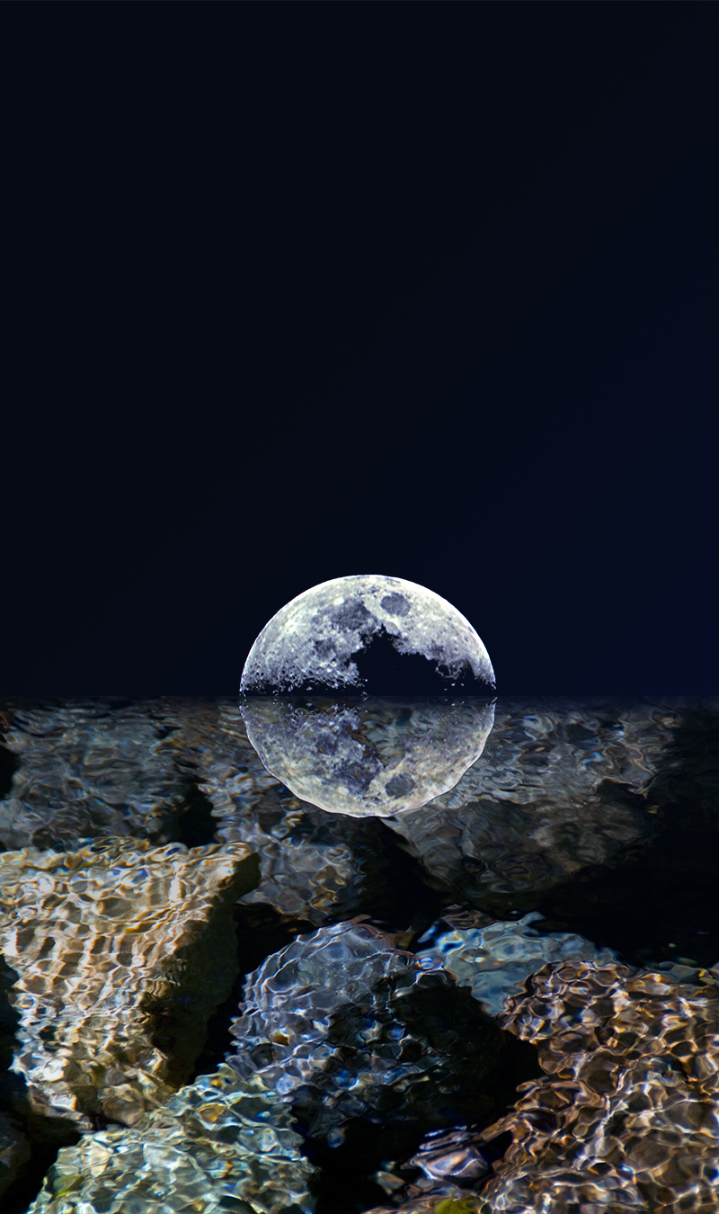 dry moon, still pool