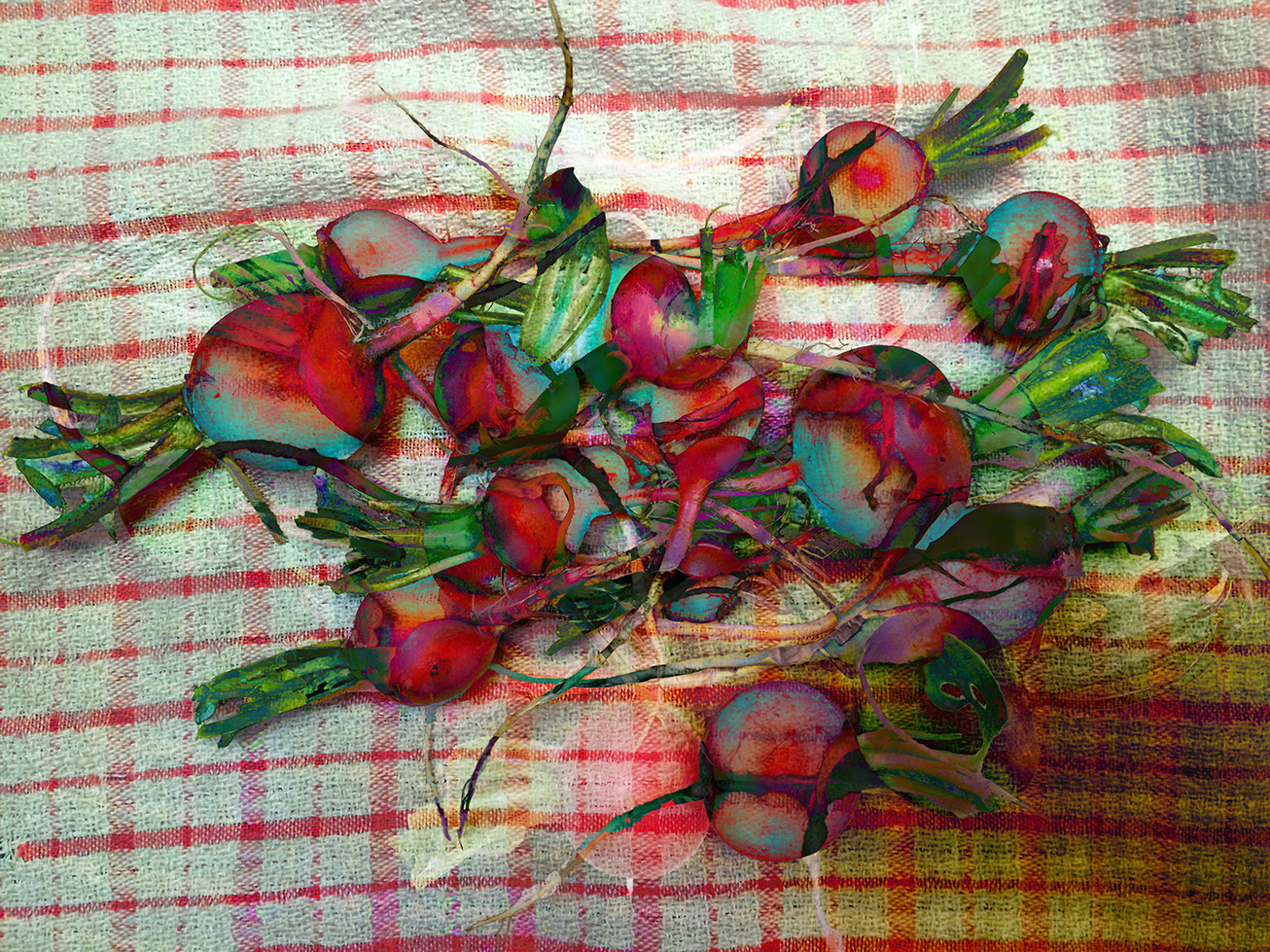 surprise! radishes